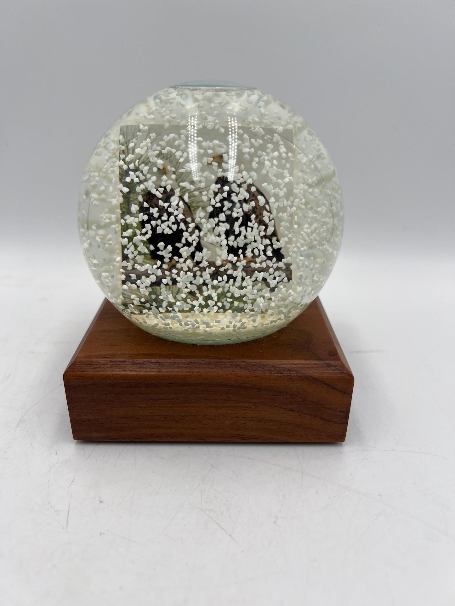 Snow Globes - Chicago Skyline - Cardinals - Eagle Cam - Music