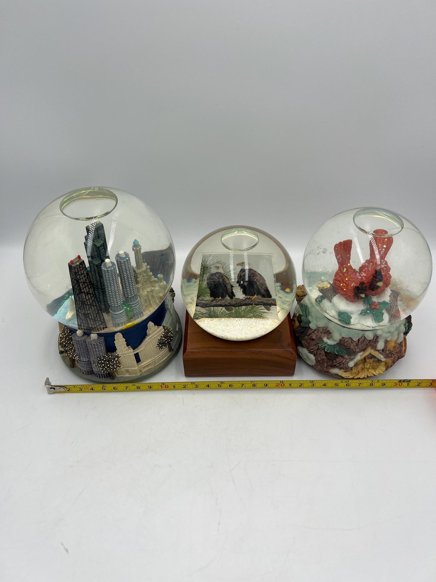 Snow Globes - Chicago Skyline - Cardinals - Eagle Cam - Music