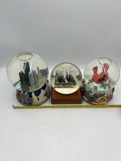 Snow Globes - Chicago Skyline - Cardinals - Eagle Cam - Music