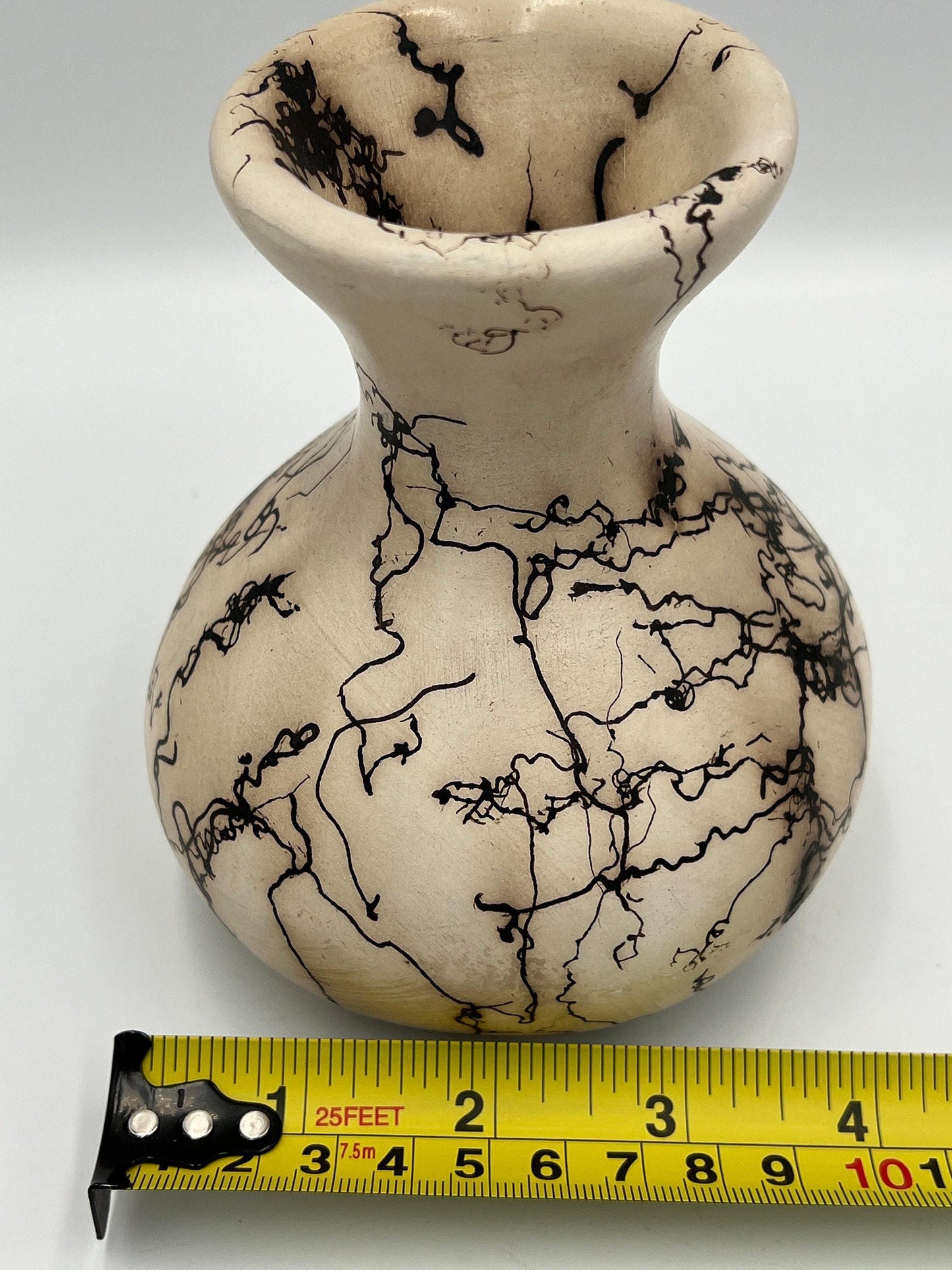 Navajo Horse Hair Vase, Native American Art (Signed by Artist)