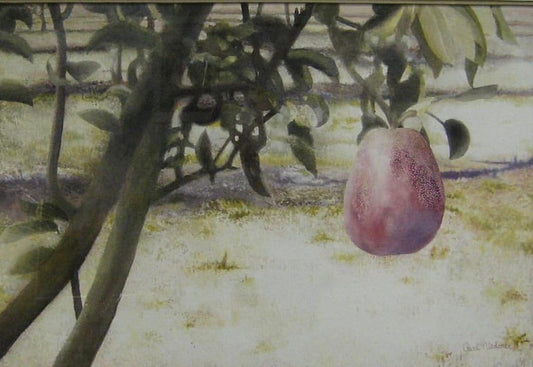 Red Pear Watercolor Painting - Framed Botanical Wall Art