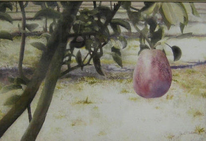 Red Pear Watercolor Painting - Framed Botanical Wall Art