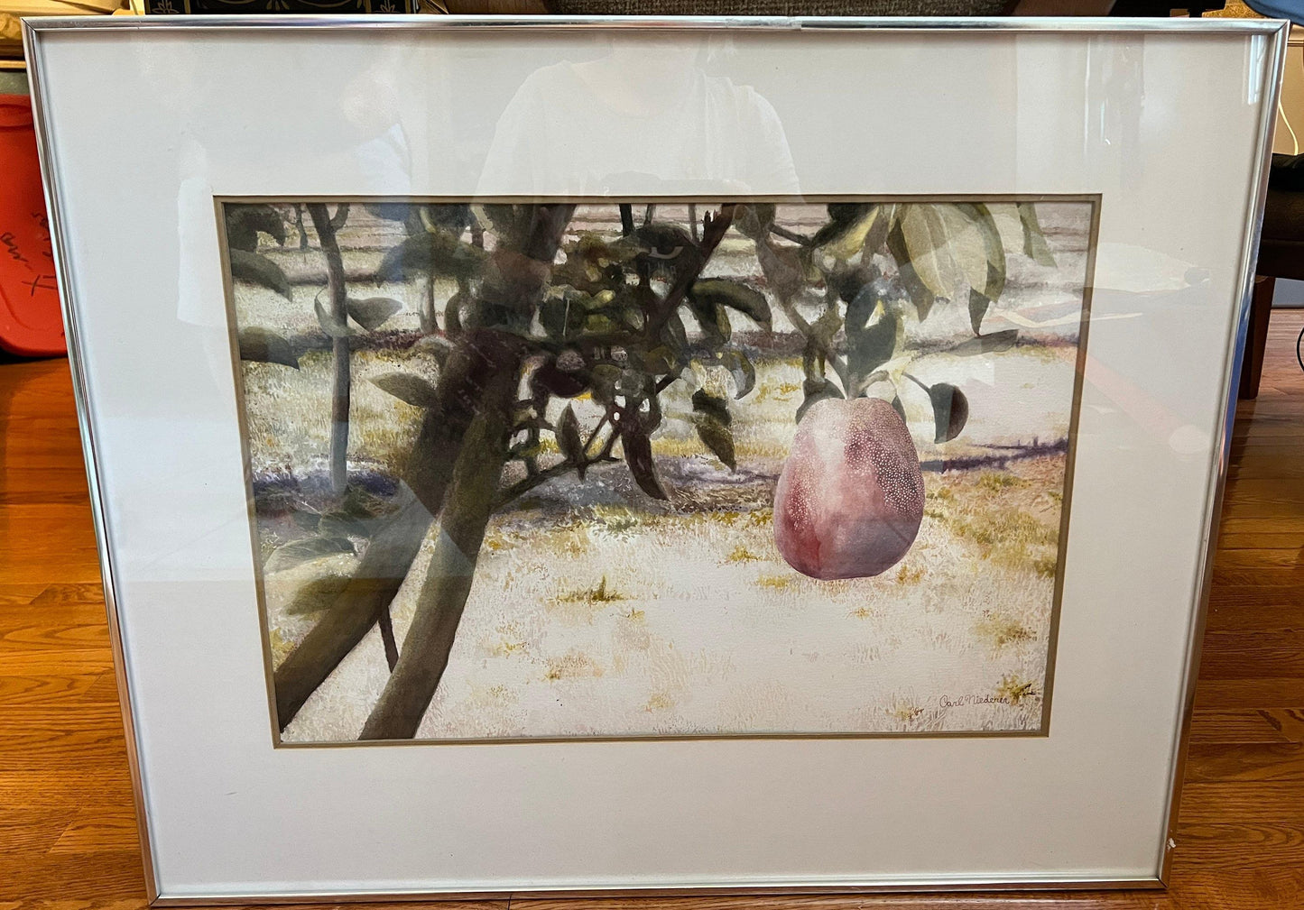 Red Pear Watercolor Painting - Framed Botanical Wall Art