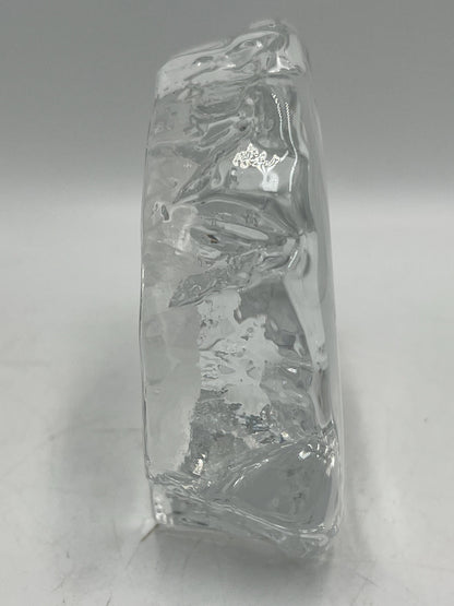 Cristal d'Arques Eagle Head Intaglio 24% Lead Crystal Clear Glass Figurine Made in France