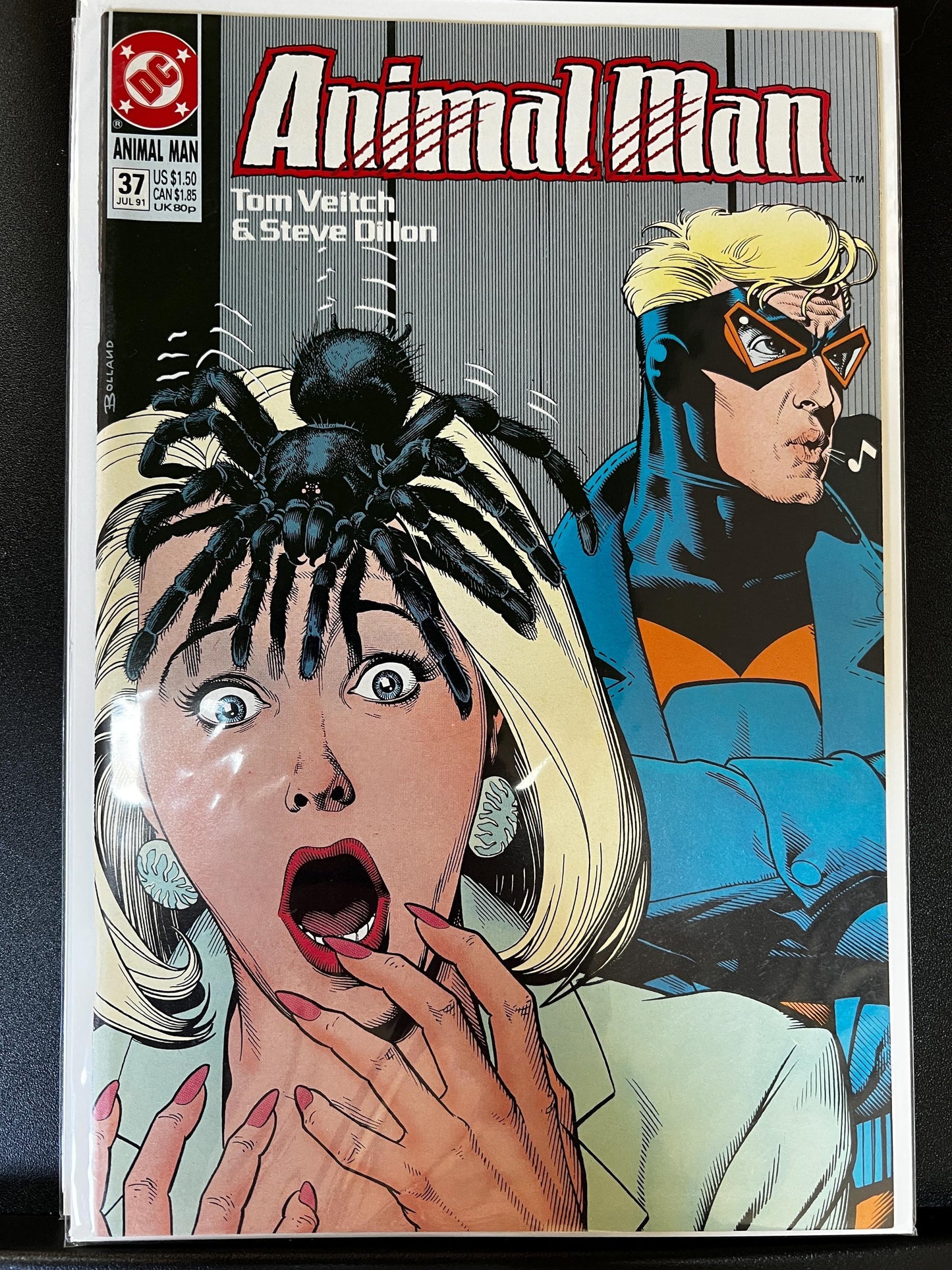 Animal Man Comic Book Lot: Bolland Covers, DC Vertigo, 1991-92