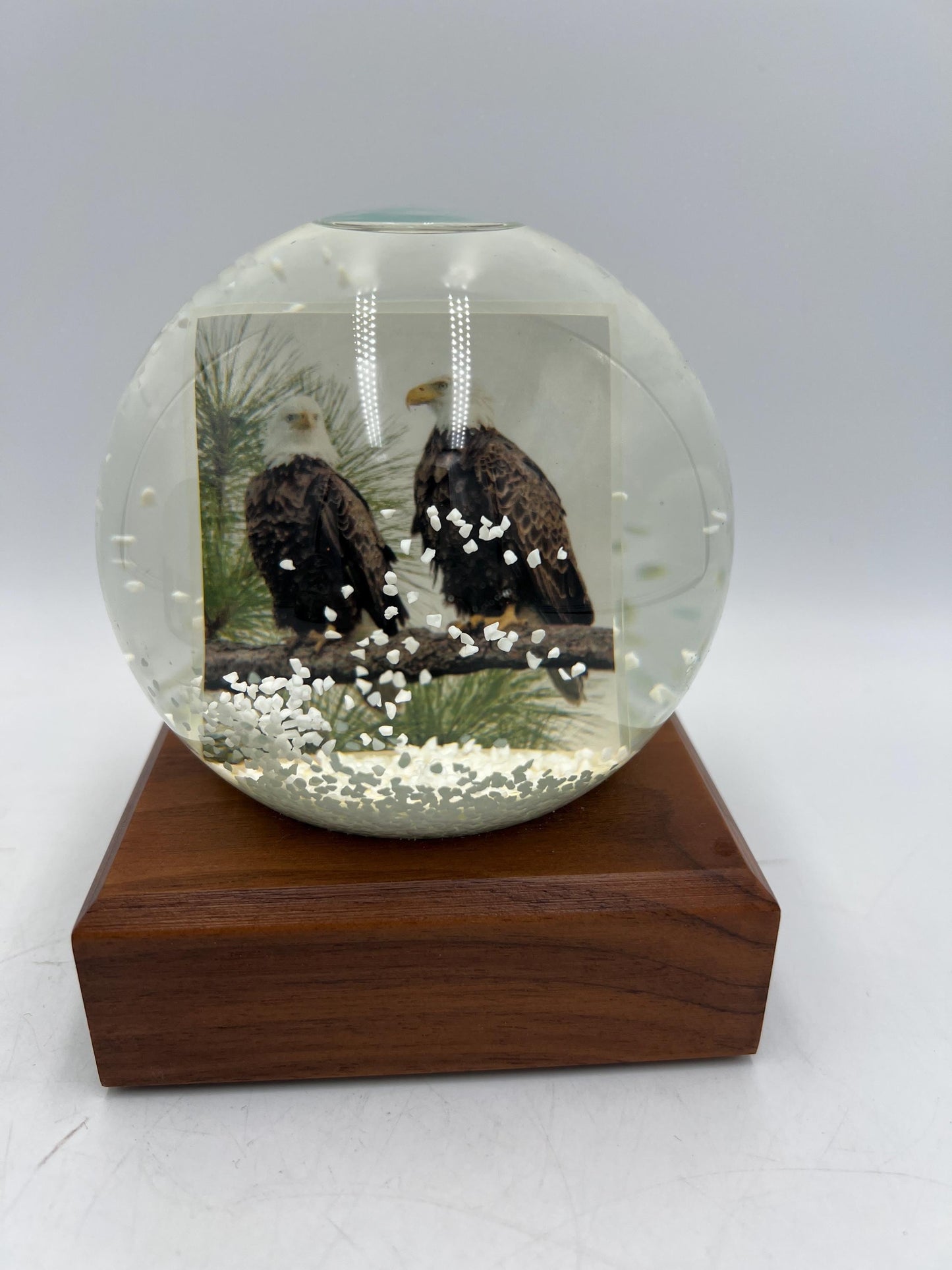 Snow Globes - Chicago Skyline - Cardinals - Eagle Cam - Music