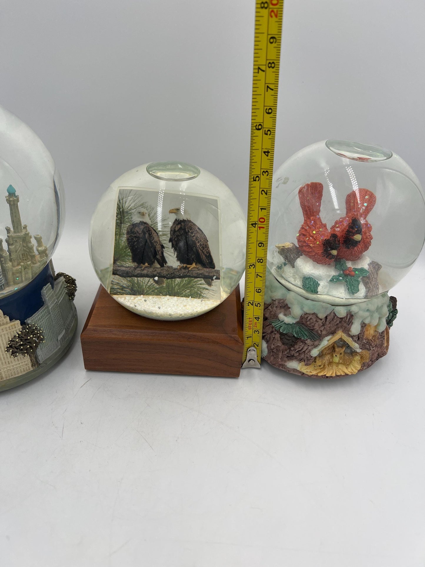 Snow Globes - Chicago Skyline - Cardinals - Eagle Cam - Music