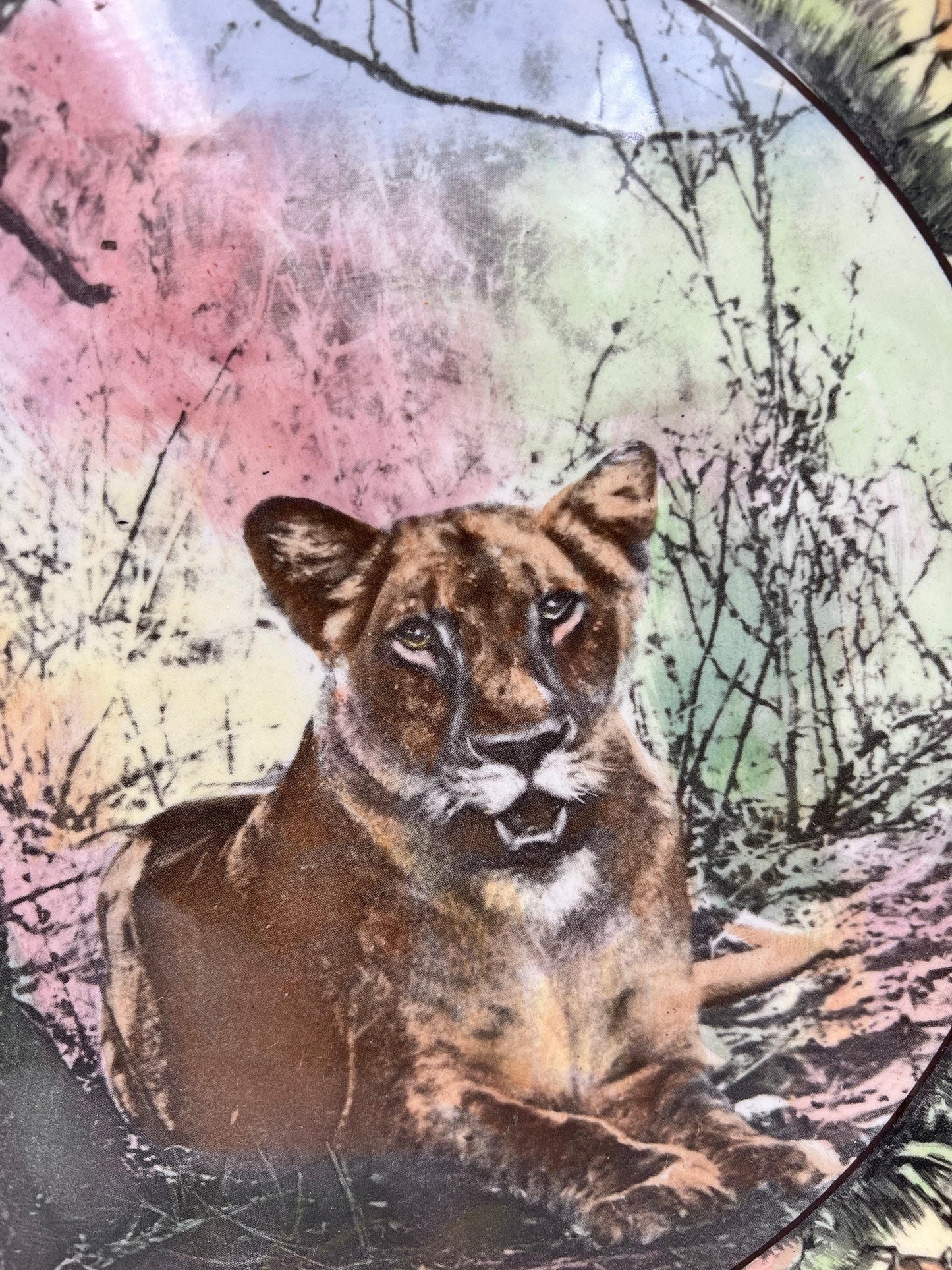 Royal Doulton, pattern #D6369, 1936-1975. African Series - Lioness Chop Plate.