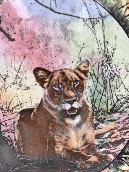 Royal Doulton, pattern #D6369, 1936-1975. African Series - Lioness Chop Plate.