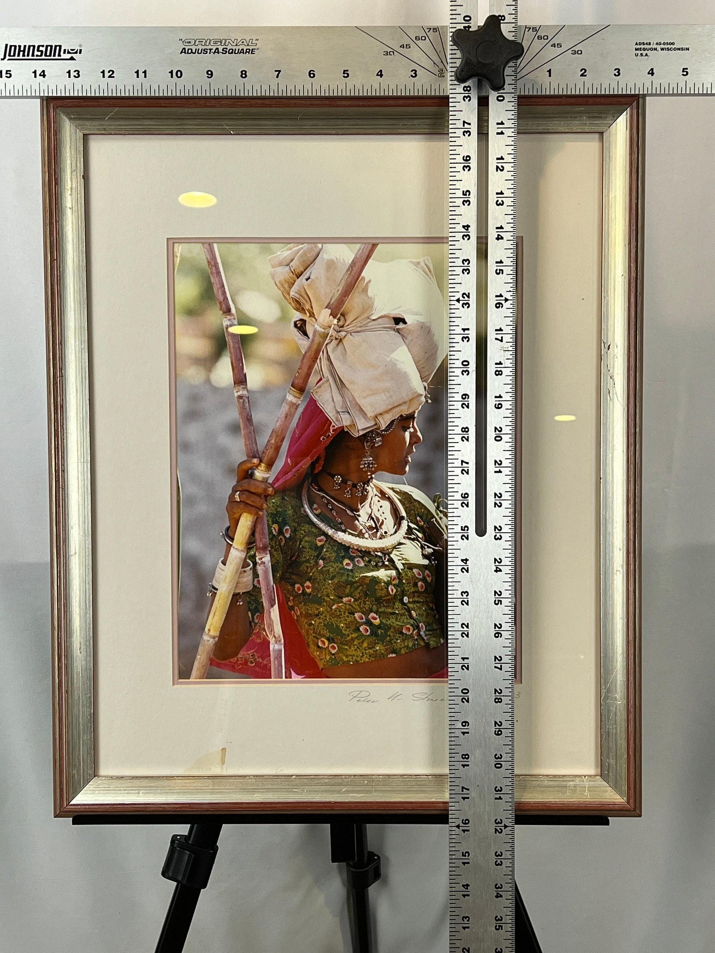 Desert Beauty Wall Art: Signed Photo Print (Framed 21x17 Inches)