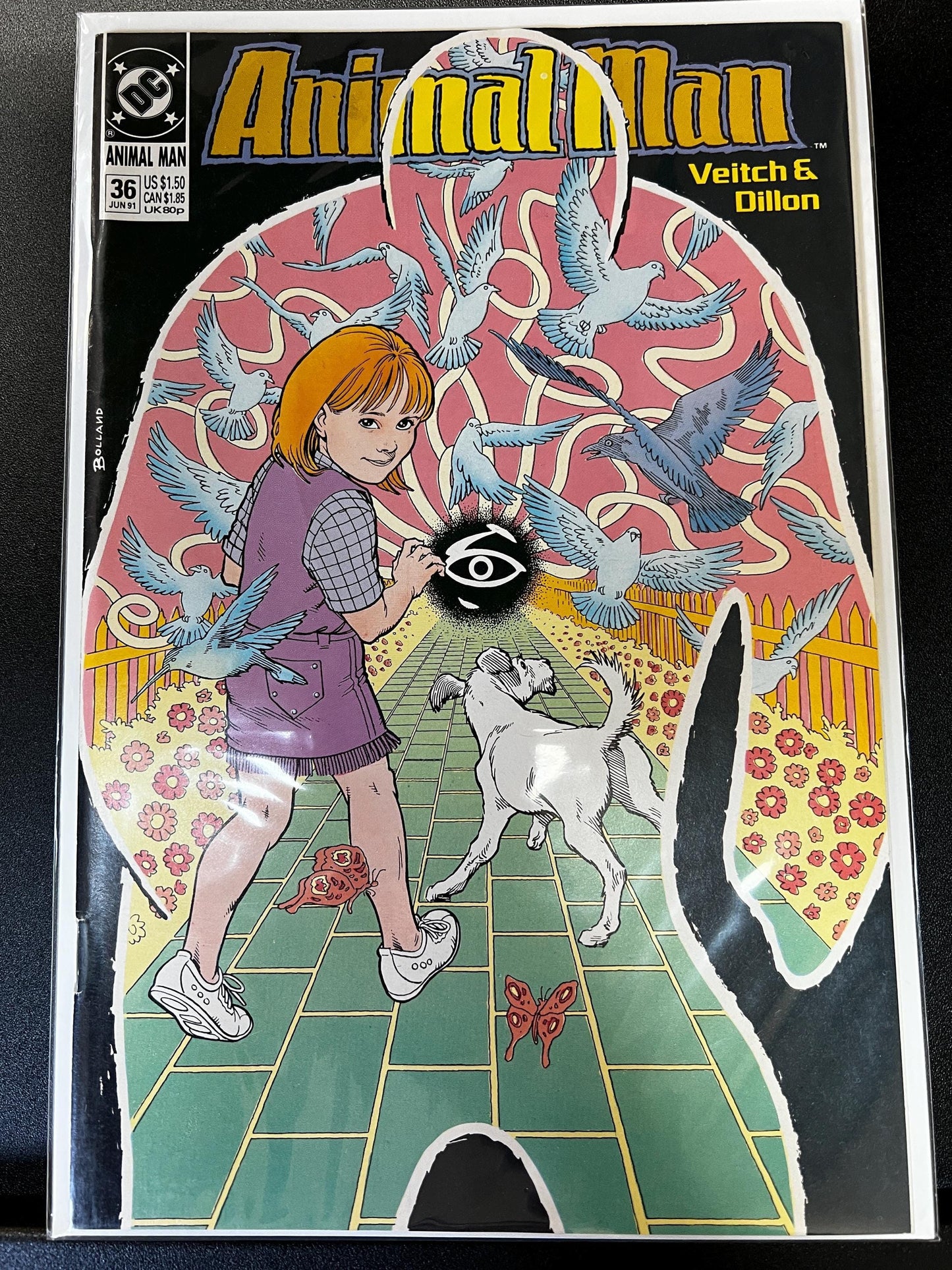Animal Man Comic Book Lot: Bolland Covers, DC Vertigo, 1991-92