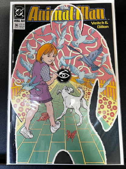 Animal Man Comic Book Lot: Bolland Covers, DC Vertigo, 1991-92