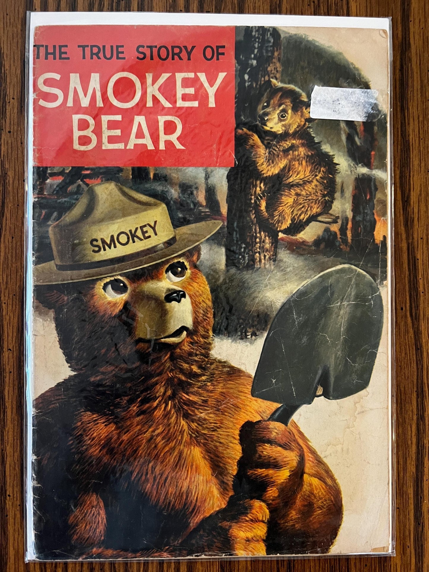 Vintage Comic Lot  Little Audrey #16, Smokey Bear, Treasure Chest 1964, Abner #45, Timmy Ghost, Black Cat #65