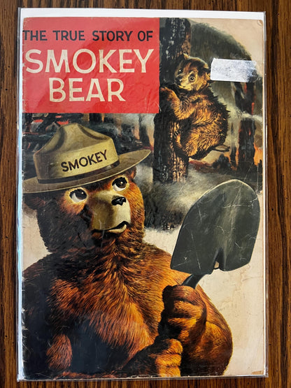 Vintage Comic Lot  Little Audrey #16, Smokey Bear, Treasure Chest 1964, Abner #45, Timmy Ghost, Black Cat #65