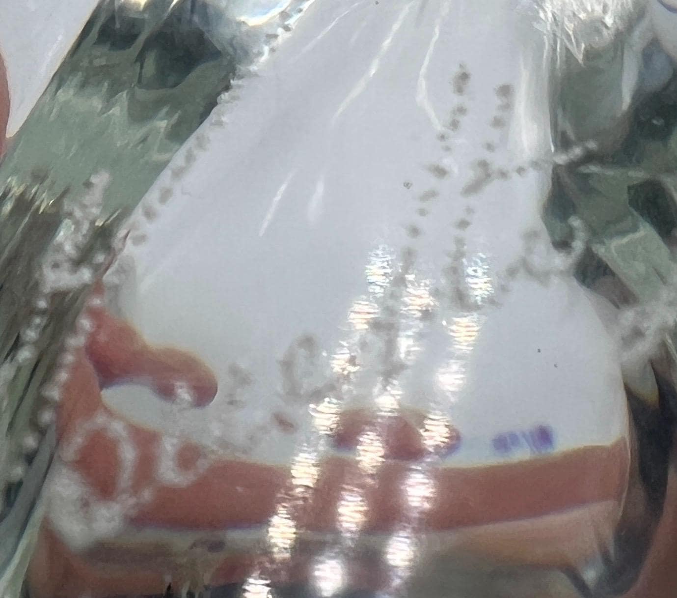 Murano Licio Zanetti Signed Art Glass Fish /Trout