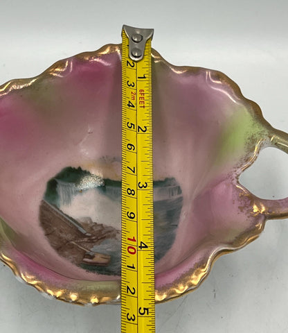 Antique Victoria Austria Niagara Falls Souvenir Leaf Bowl Pink Lustre Porcelain Handled Nappy Gold Gilt Scenic Dish