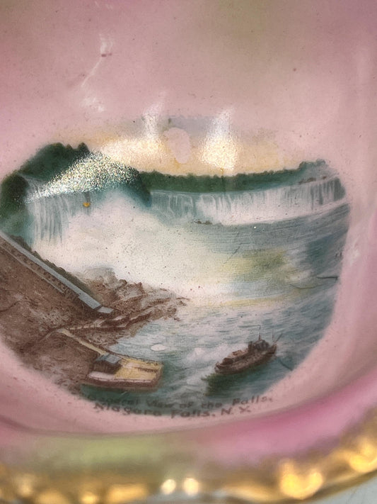 Antique Victoria Austria Niagara Falls Souvenir Leaf Bowl Pink Lustre Porcelain Handled Nappy Gold Gilt Scenic Dish