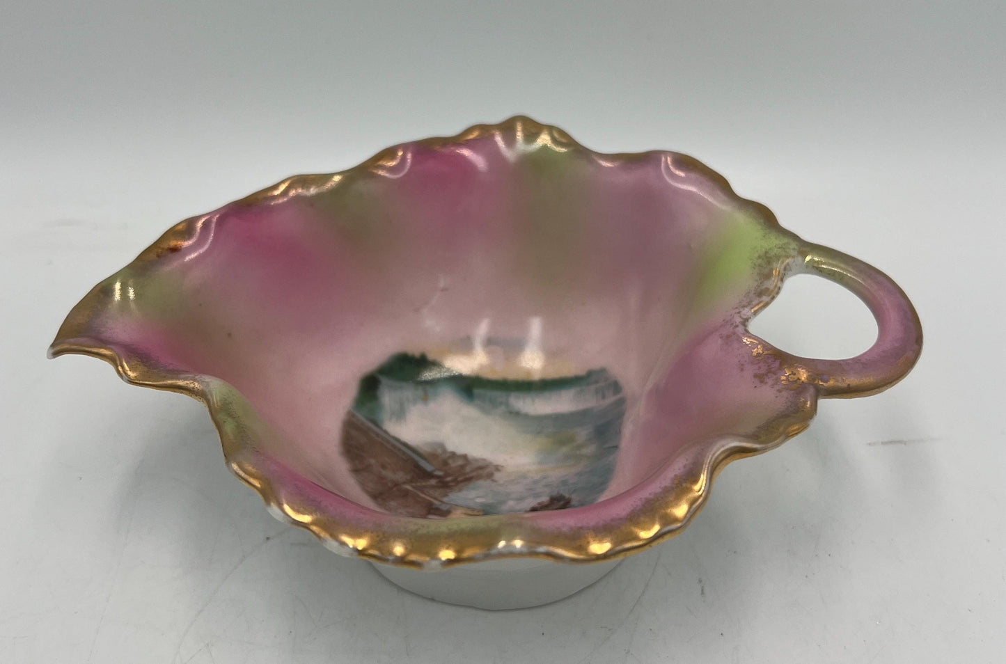 Antique Victoria Austria Niagara Falls Souvenir Leaf Bowl Pink Lustre Porcelain Handled Nappy Gold Gilt Scenic Dish