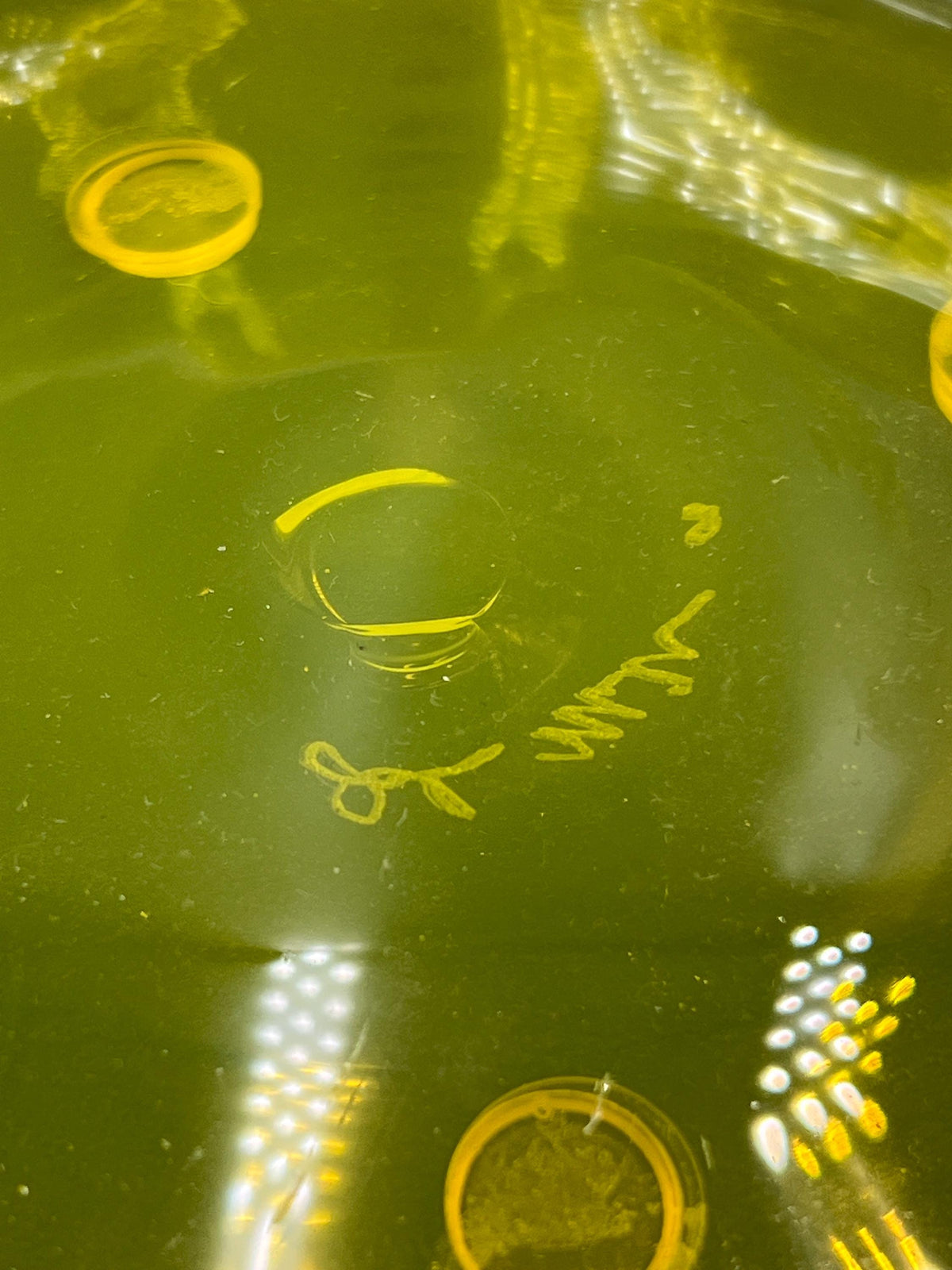 Signed John Miller Chartreuse Optic Dot Glass Bowl